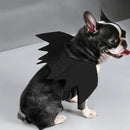NightWing Pet